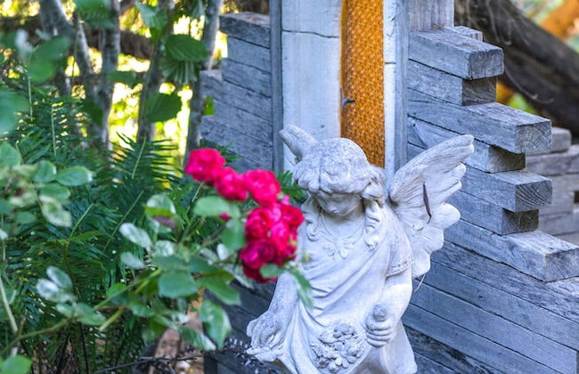 Chatelaine Valley Views - Photo 35