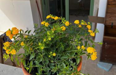 Casa da Curva - Foto 45