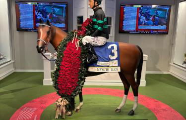 Opulence On Oak Street - Foto 20