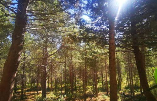 Alojamiento Encarnación - Foto 23