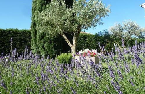 Le gite de lOlivier en Provence - Foto 16