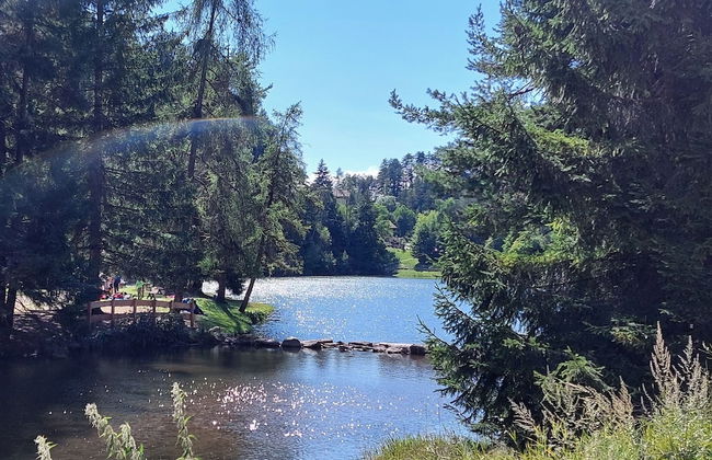 Horse House - Foto 62