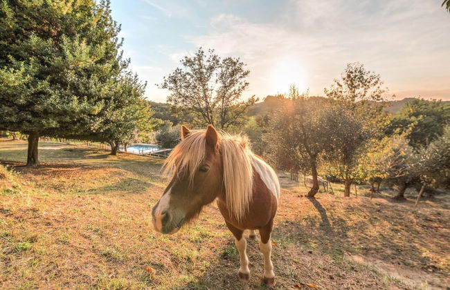 Farmhouse in Tuscany With Pool & Near Montecastello - Foto 23