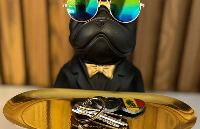 Apartment Near Reforma Agel - Foto 18