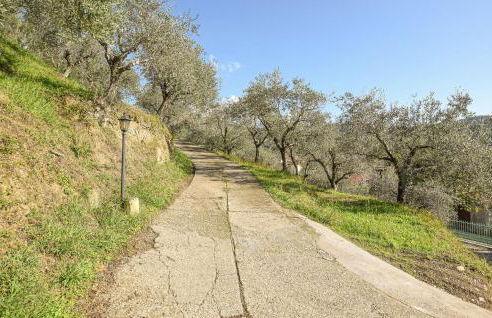 Villa Lavandaia Toscana - Foto 34