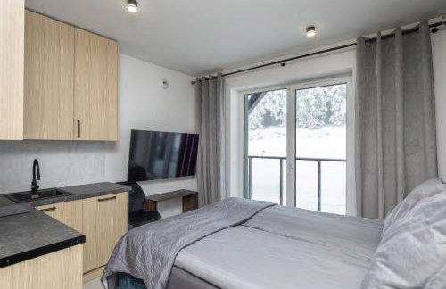 Willa Zieleniec - Foto 34