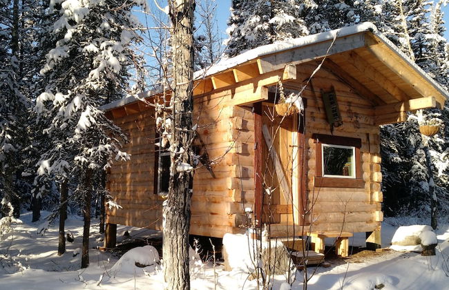 Blackburn Cabins - Photo 8