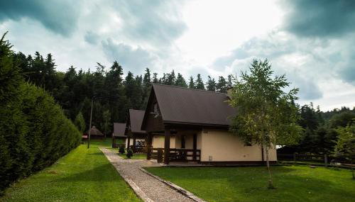 Domki Pod Lasem - Foto 2, Garden, Garden view