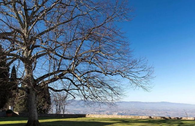 Holiday Home in Pergine Valdarno With Pool - Foto 20