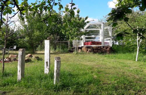 Glashaus Sternblick, Schlafen unterm Sternenhimmel - Foto 2