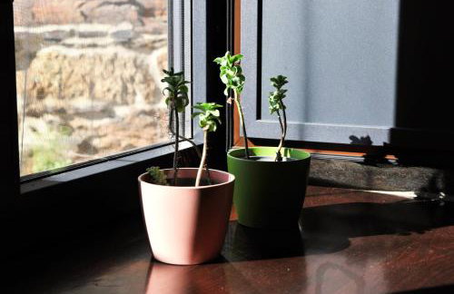 Casa Yañez - Photo 65