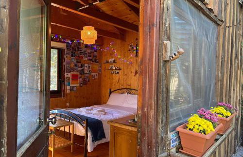 Η Χαρούμενη Αρκούδα - Foto 9