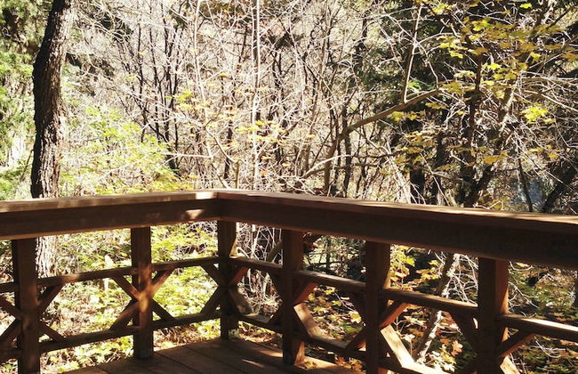 Treehouse by the Stream - Photo 10