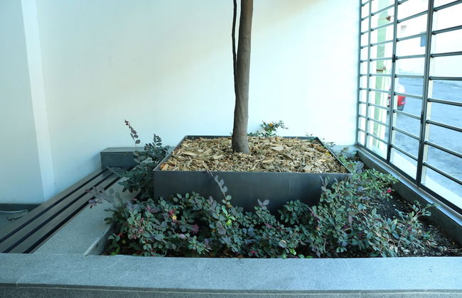 Departamento Céntrico Guadalajara - Foto 4