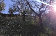 Agriturismo Sotto la Rocca - Foto 22