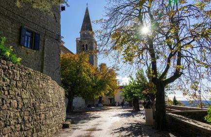 Rustic villa Kave with wellness in Groznjan - Foto 50