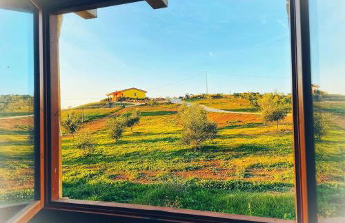 Azienda agricola Panorama - Foto 18