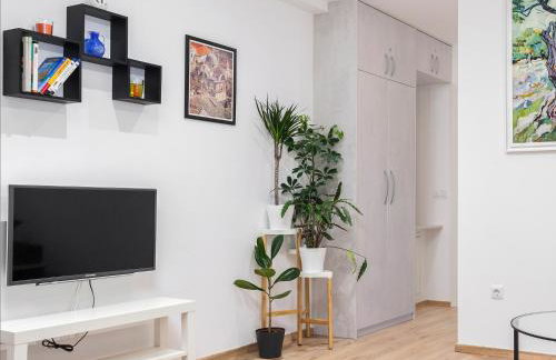 OLIVA 4 STARS - Photo 29