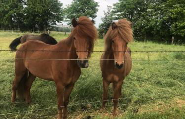 Ferienwohnung Zweinig02 - Foto 20
