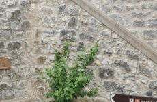 Maison du Troubadour - Foto 17