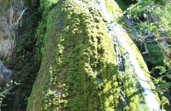 Paradise Apartments - Foto 40