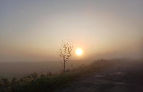 Siedlisko Dwa Żurawie - Uroczy domek nad stawem, z kominkiem, obok konie - Foto 33