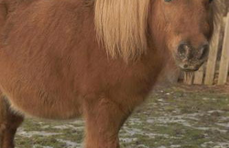 Agroturystyka Natura - Foto 2