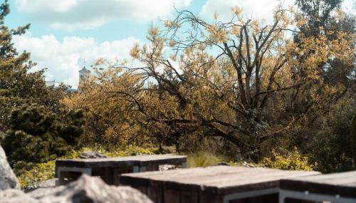 Le Pop Art- Petit nid douillet - Foto 3