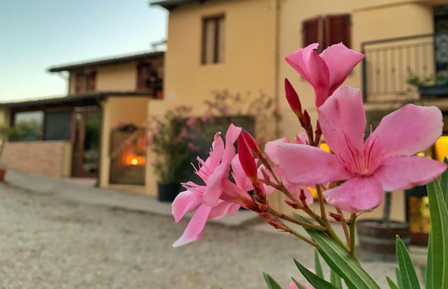 ChiaraLuce Country House - Foto 38