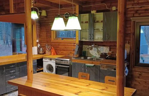 Wilga - klimatyczny domek z 2 tarasami - Foto 8