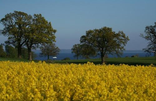 Bellevue rechts - Foto 11