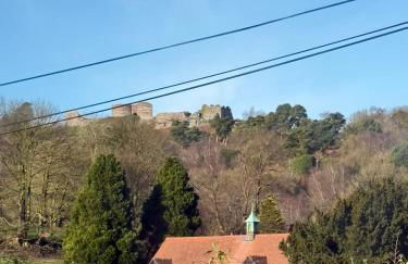 Peckforton cottage totally refurbished - Foto 24