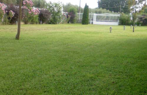 Silver Coast Cottage Raches - Foto 45