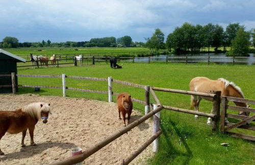 Bauernhauswohnung 2 - Foto 13