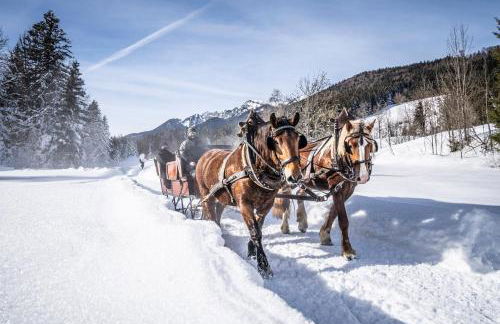 Lamprechthof - Foto 8