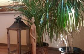 Ferienhaus an der südlichen Boddenküste - Foto 14