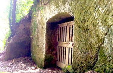 Heart House Maremma - Foto 40