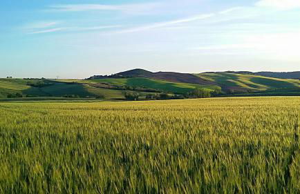 Agriturismo L'impero - Foto 24