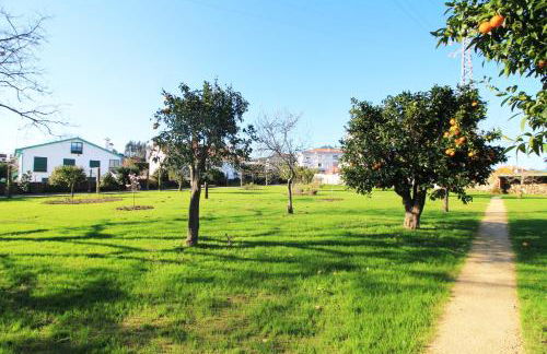 Casa dos Ouriços - Foto 11