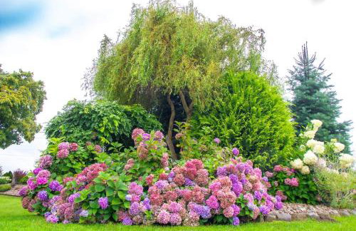 Wierzbowy Zakątek - Foto 54