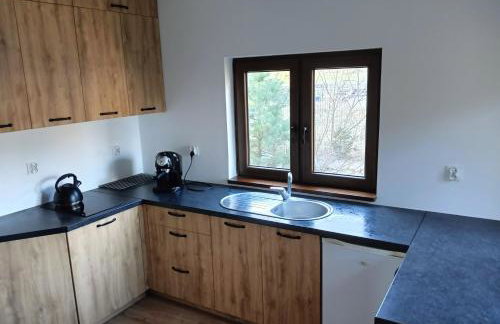 Osada Blanka Leśny Zakątek Jezioro Rzeka Swornegacie - Foto 65