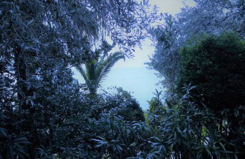 Villa Electra - Foto 13