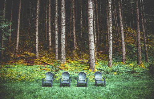 Elk Crossing Cozy Cabin at Crystal Mountain home - Foto 24
