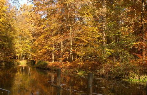 Ferienwohnung Hainbuche Lübben im Spreewald - Foto 24