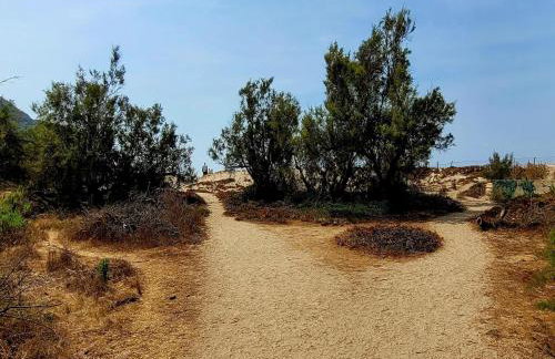 Group Stay Near Sea in Propriano - Foto 50