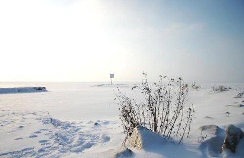 Pension Café Knatter - Foto 6