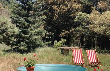 Masiadenjust - Foto 60