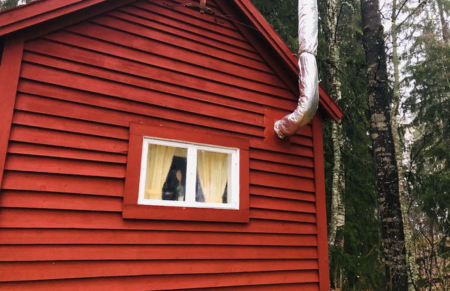 Tiny hut in the Forest Overlooking the River - Photo 37