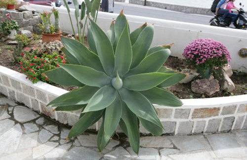 Seaside Apartments - Foto 28