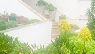 Casinha do mar - Foto 5